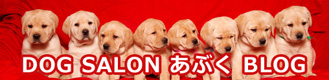 DOG SALON あぶくブログ