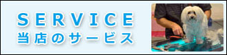 当店のサービス